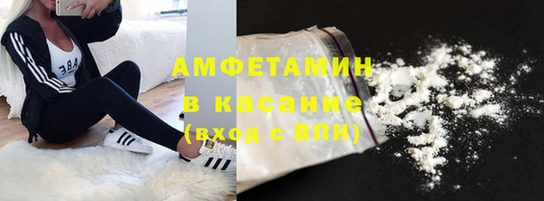шишки Аркадак