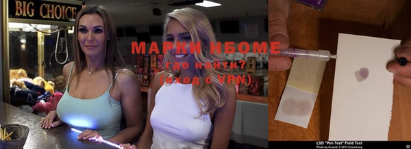 шишки Аркадак