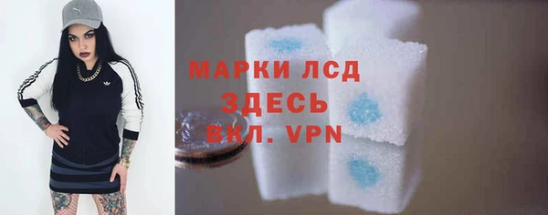 гашик Горняк