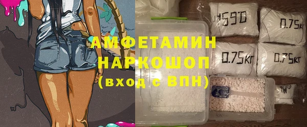 шишки Аркадак