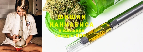 шишки Аркадак